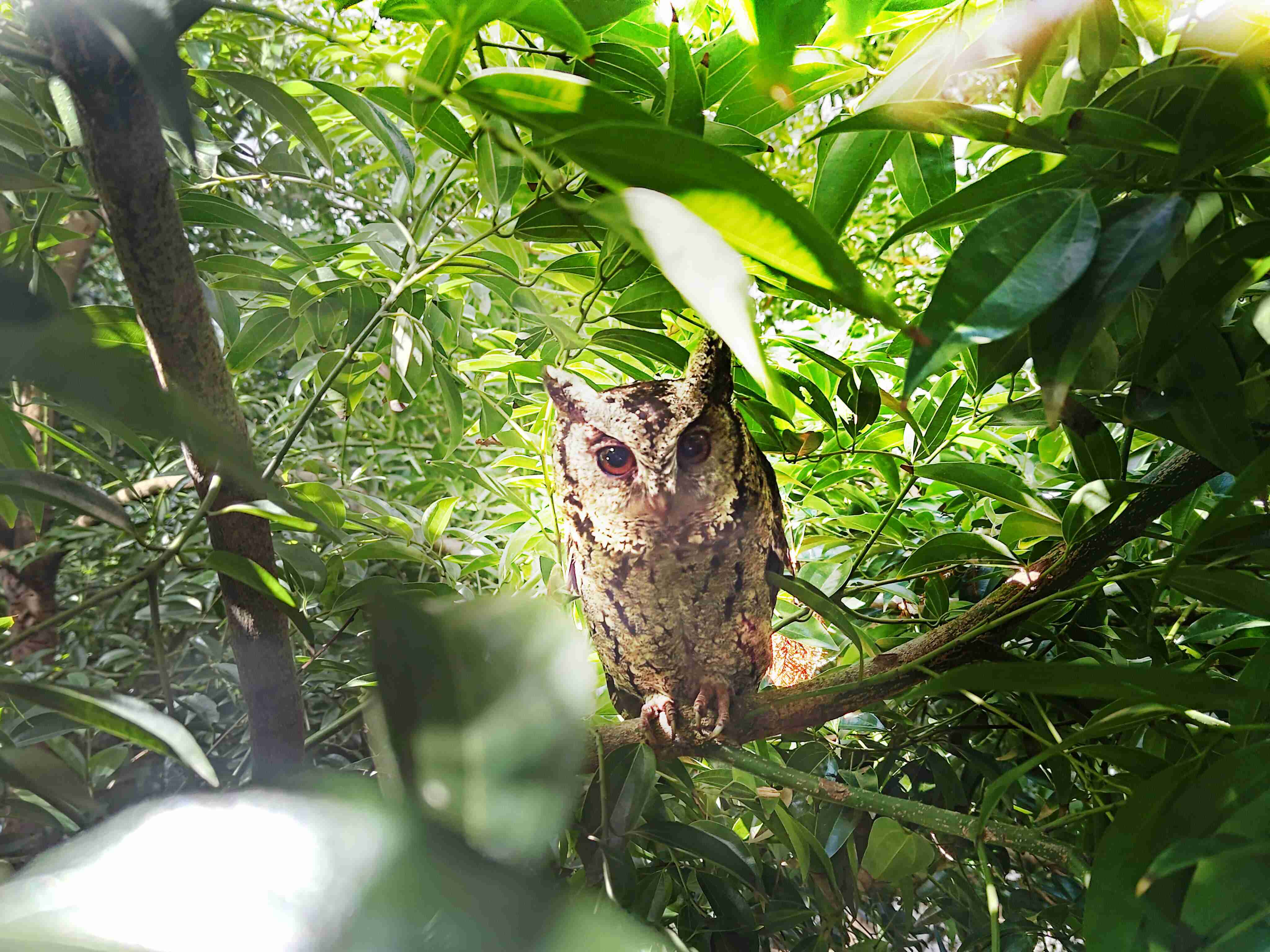 彩霸王致力提倡净零绿生活，，，16年以来在全球各厂区植树逾百万棵，，，造就各厂区树木蔚然成林，，犹如森林工厂，，，，成为许多生物的栖息地